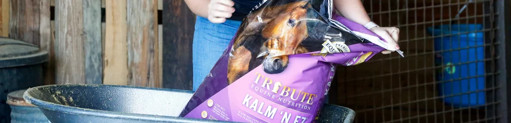 Feeding Tips for Horses with Digestive Sensitivities. Tribute Kalm 'N Easy purple feed bag.